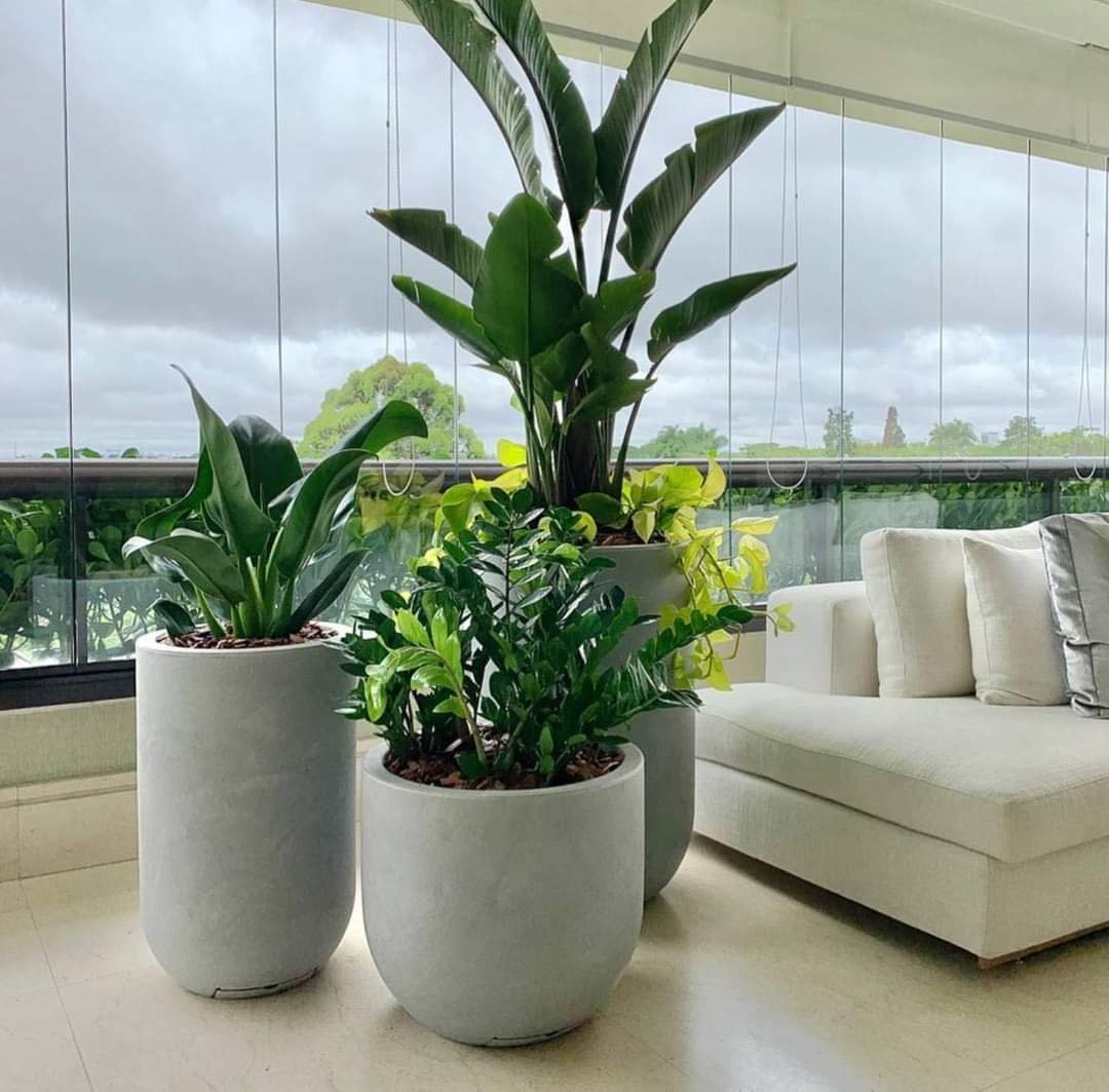Luxury Indoor Greens