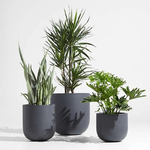 Designer Planter Trio