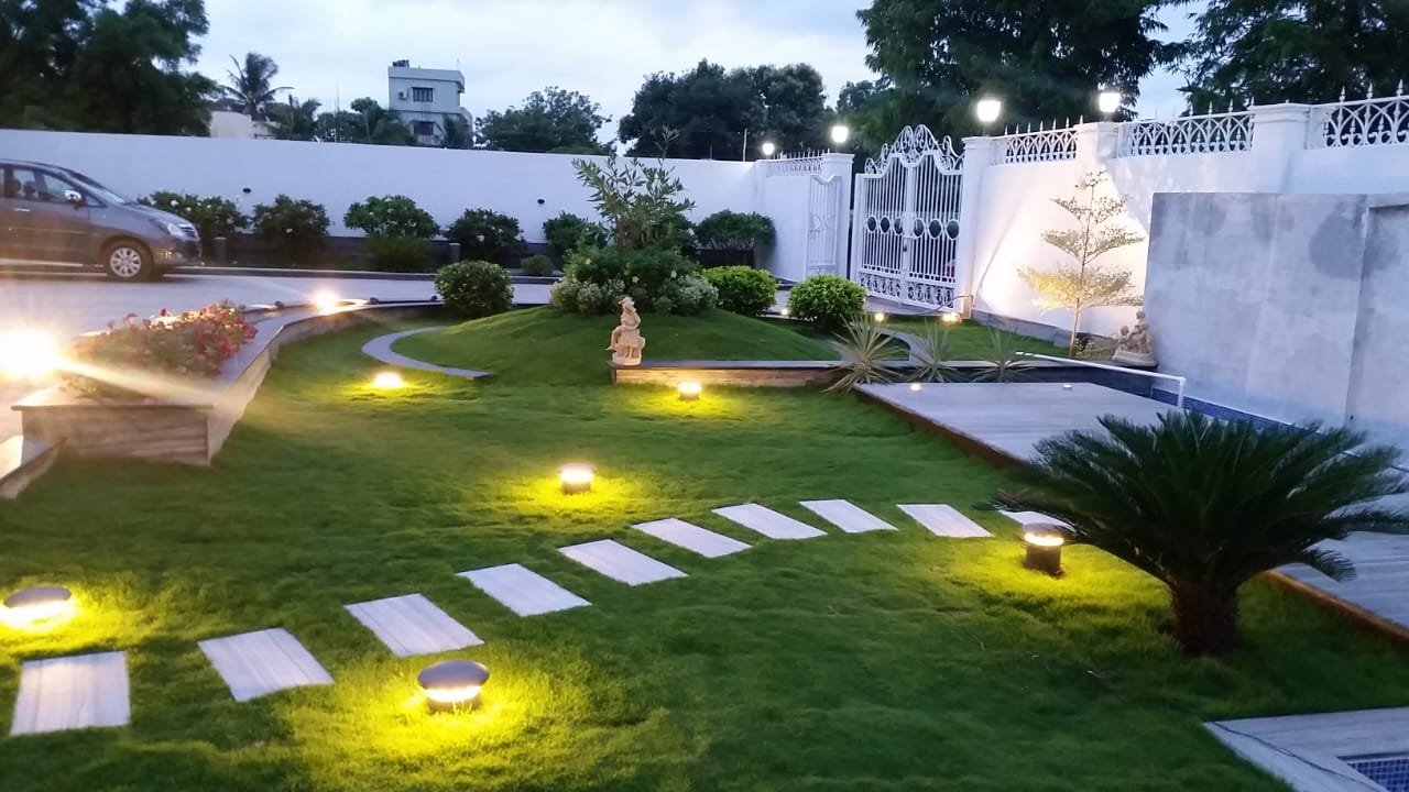 Illuminated Garden