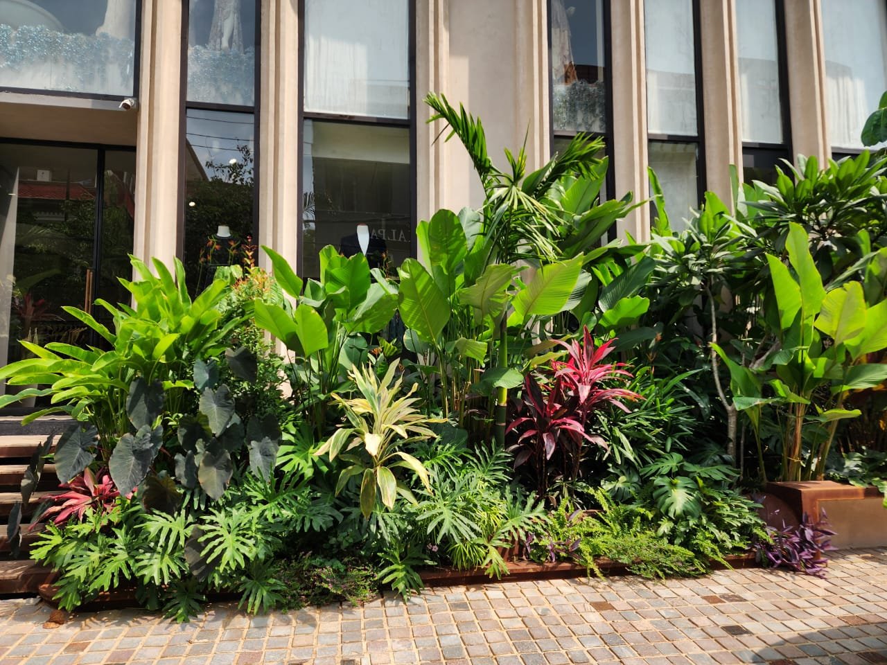 Tropical Entrance Garden