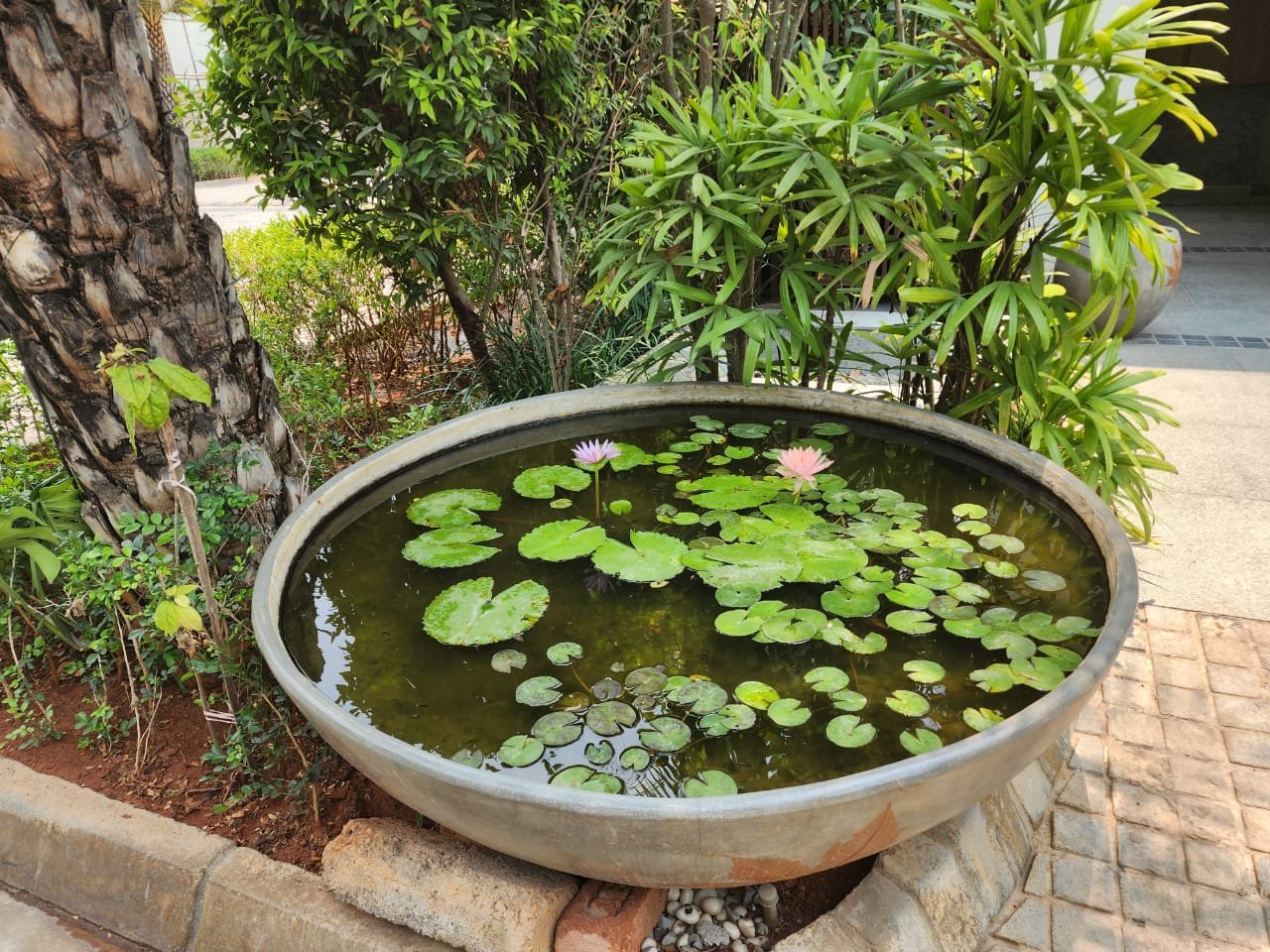 Water Garden Detail